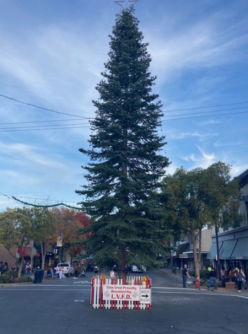 Lemoore's 2022 Christmas Tree, courtesy of the Lemoore Volunteer Fire Department.